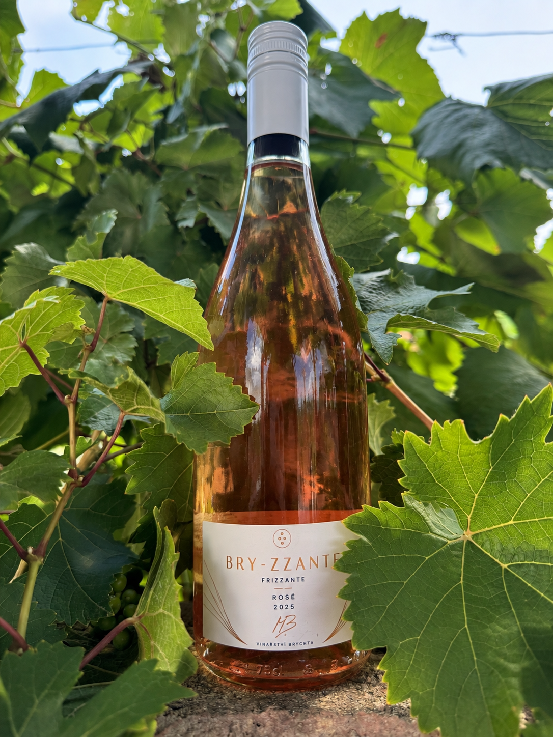 Víno – Bryzzante Rosé