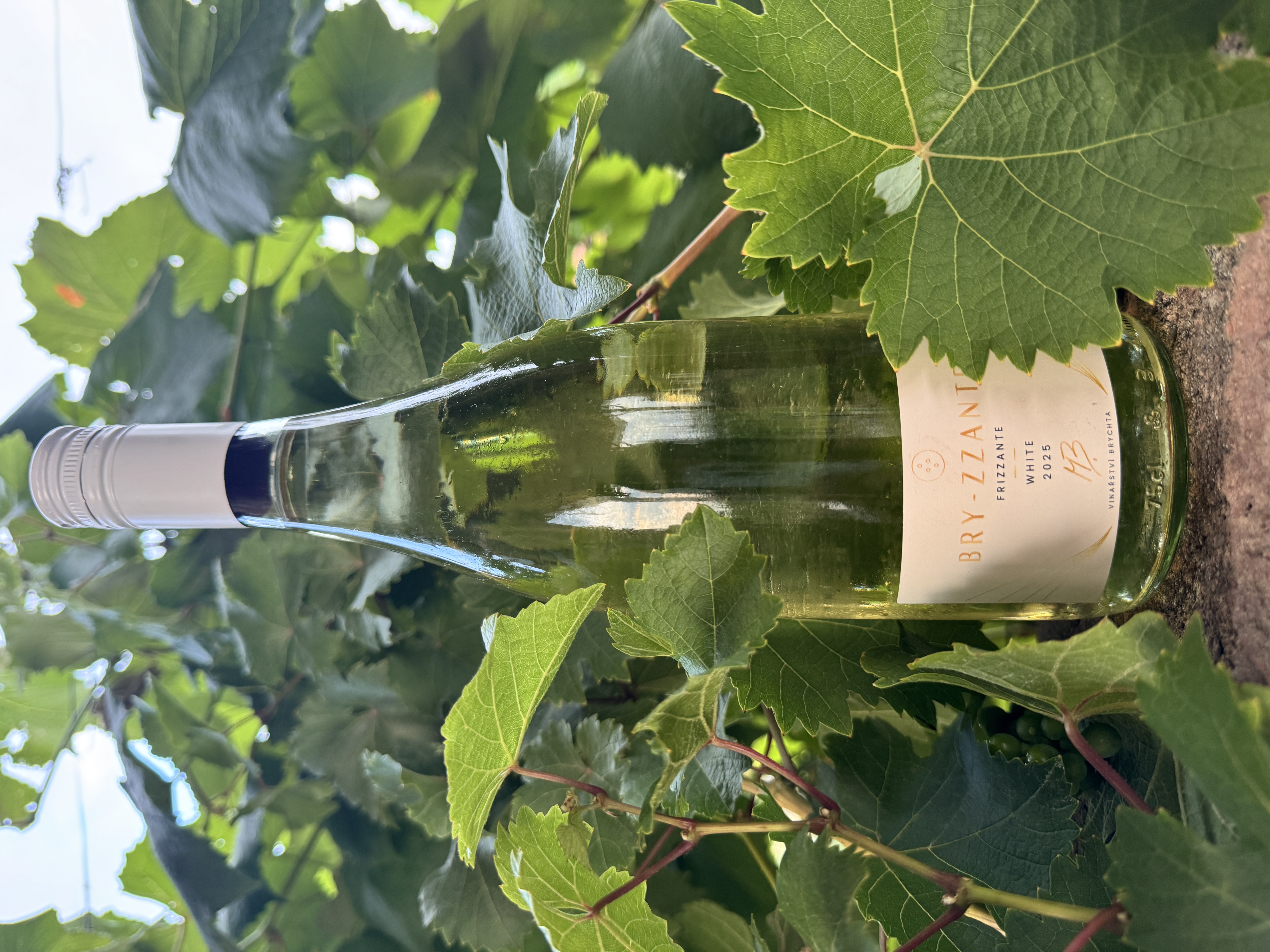 Víno – Bryzzante White